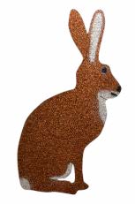 Rabbit Facing Right R1